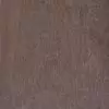 Термоберёза темная